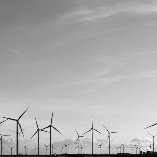 Landschaft & Architektur
